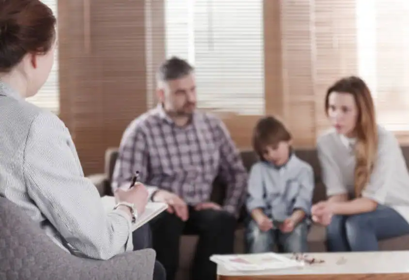 Child Custody and Relocation in International Family Disputes Frome